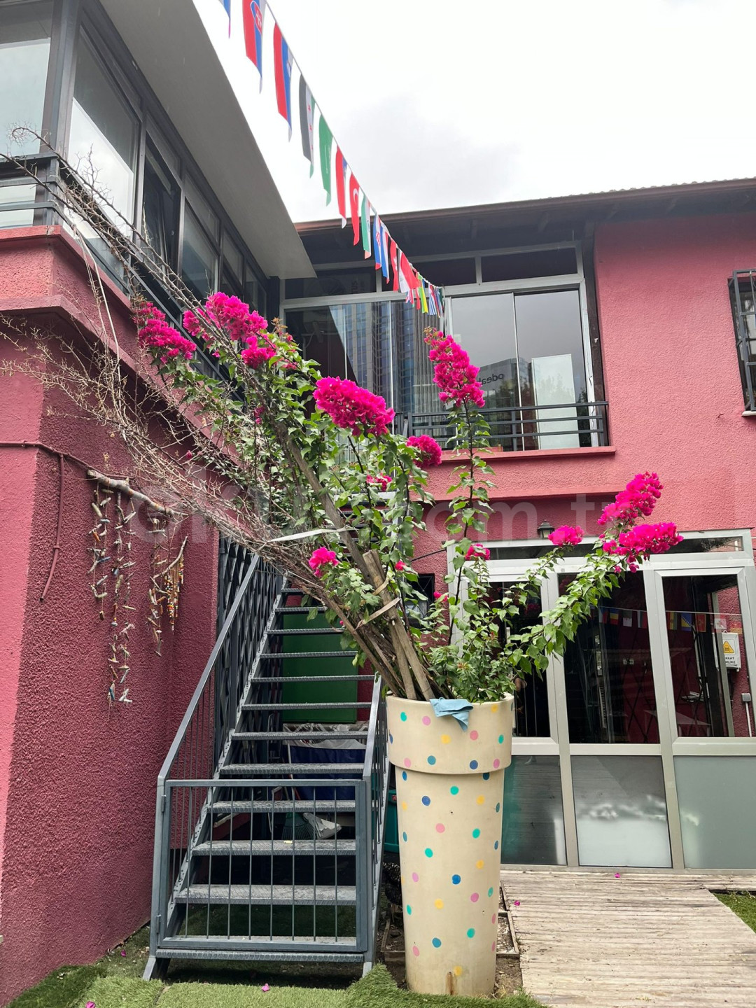 Özel Nice Kindergarten Anaokulu - 5