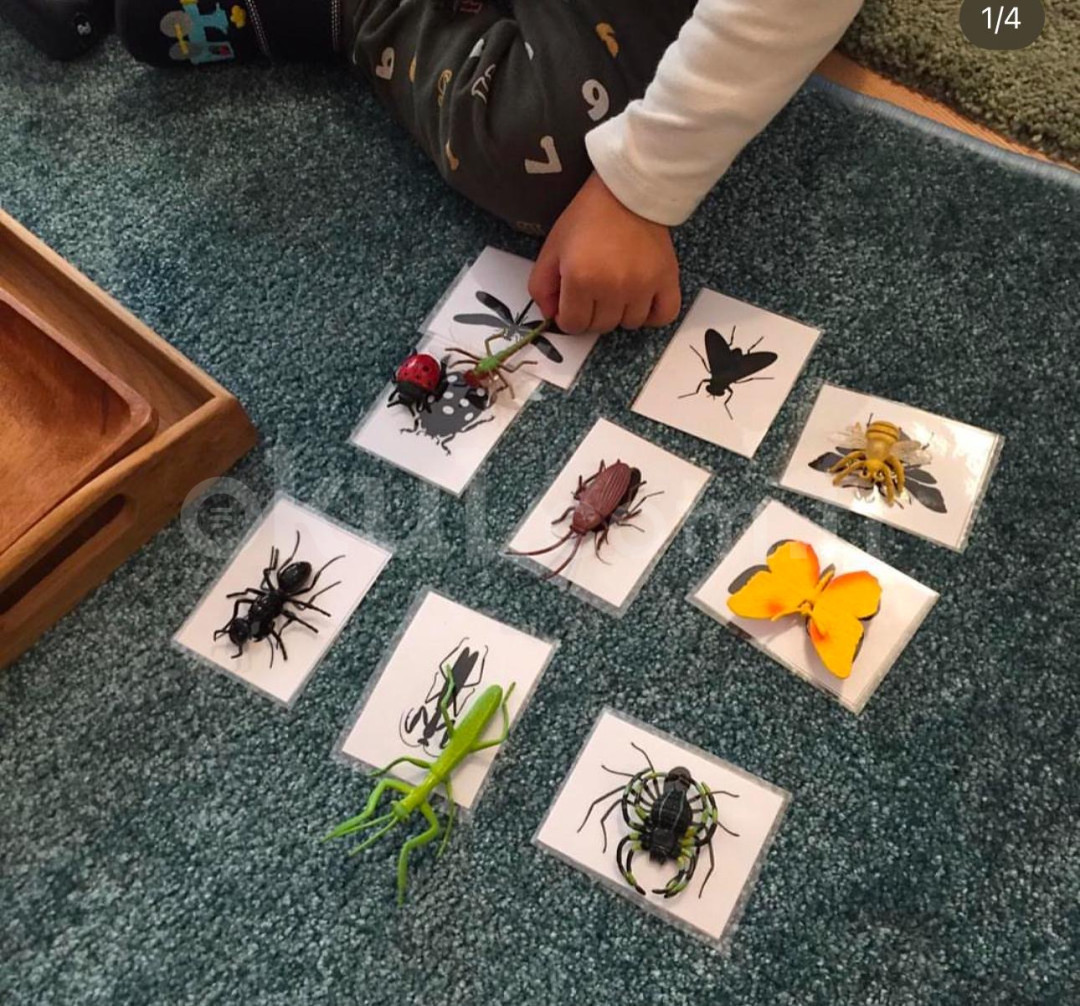 Özel Büyükçekmece Bilge Anaokulu - 12