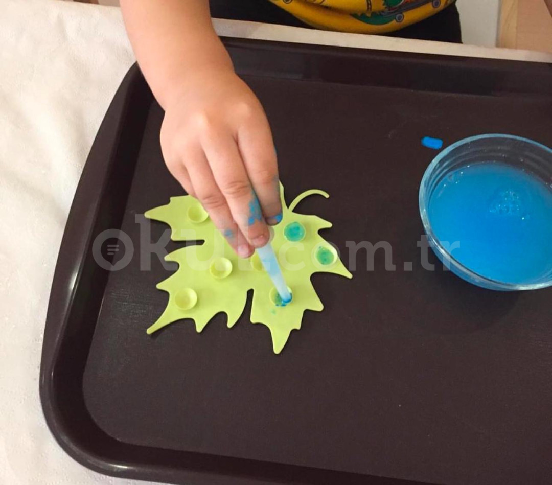 Özel Büyükçekmece Bilge Anaokulu - 9