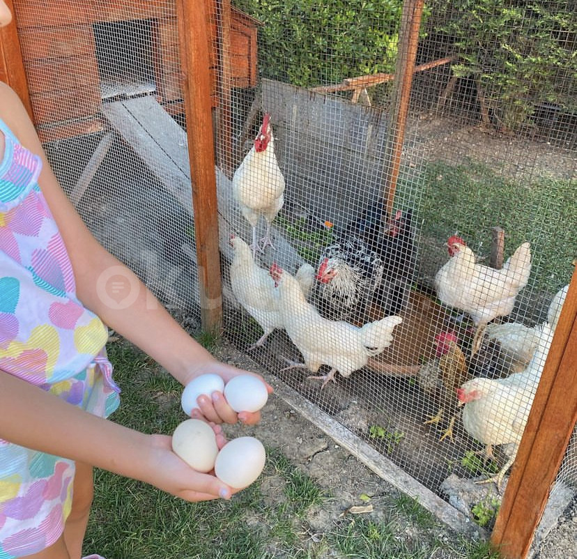 Özel Büyükçekmece Bilge Anaokulu - 6