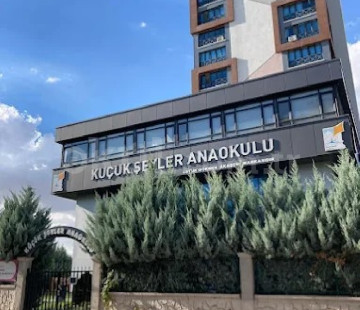 Genel Bakış