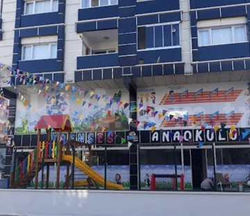 Genel Bakış