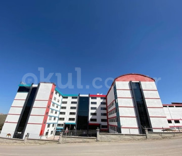 Genel Bakış