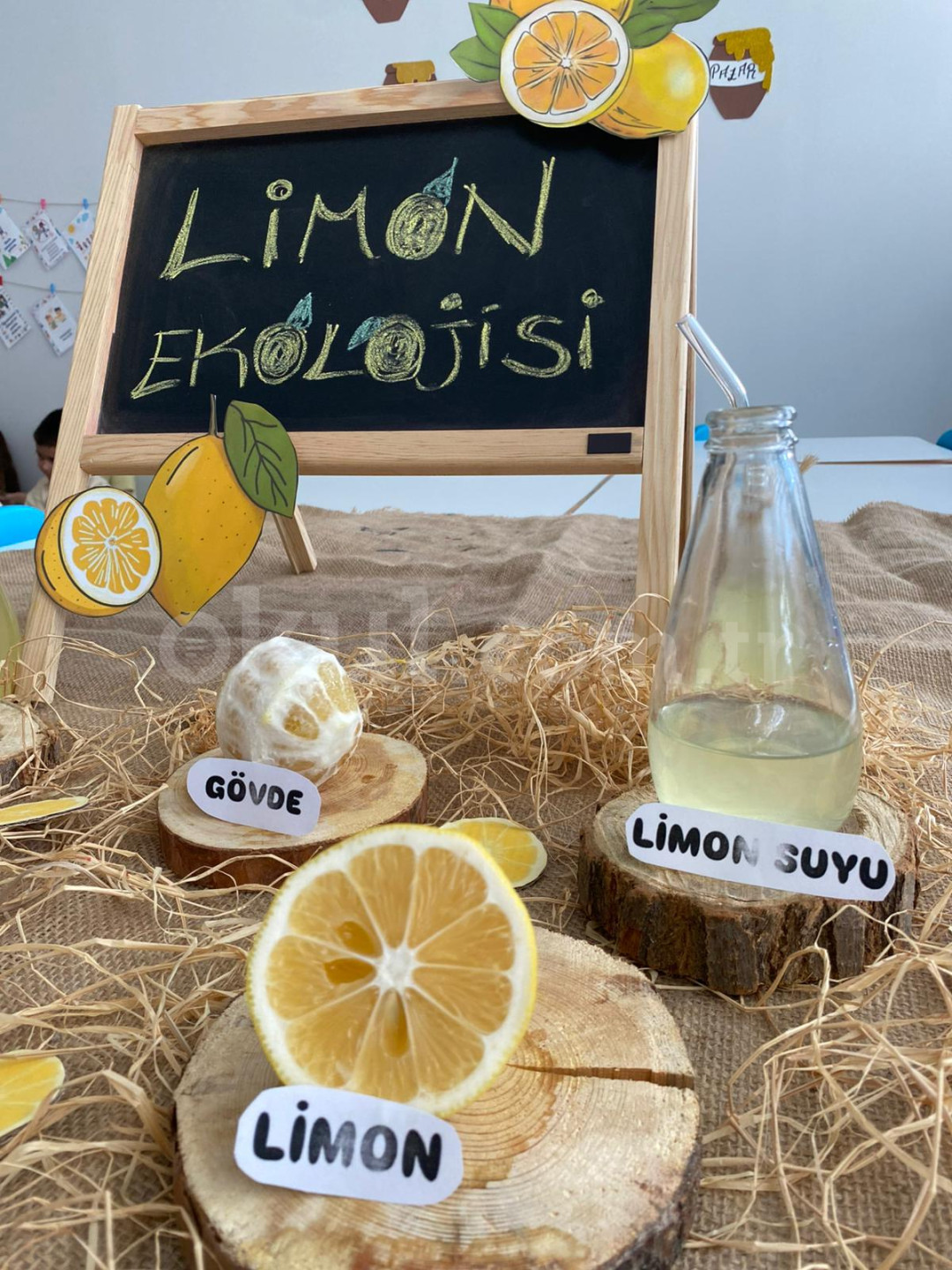 Özel Yenikent Kardelen Anaokulu - 12