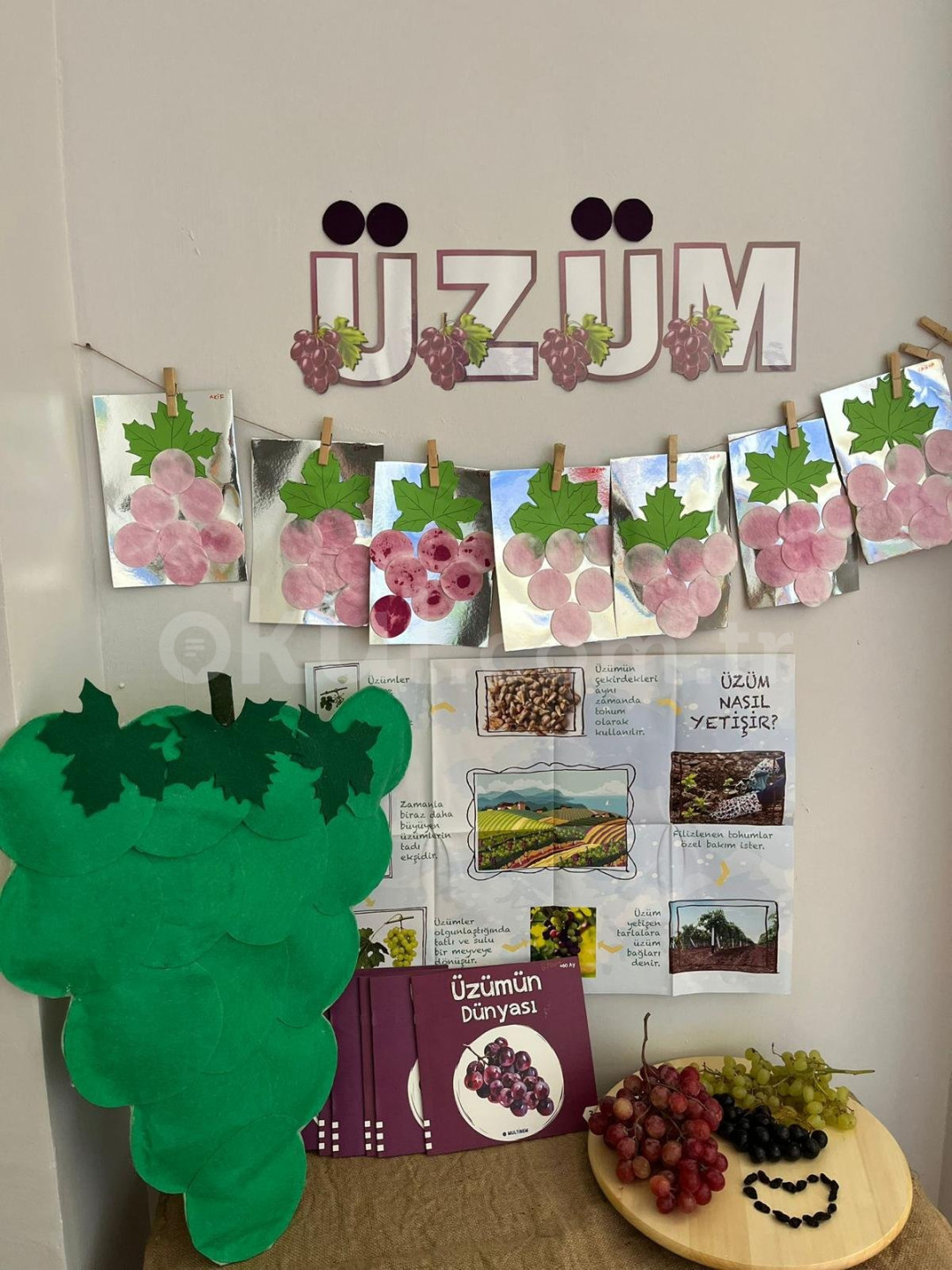 Özel Neşeli Kaşifler Anaokulu - 5