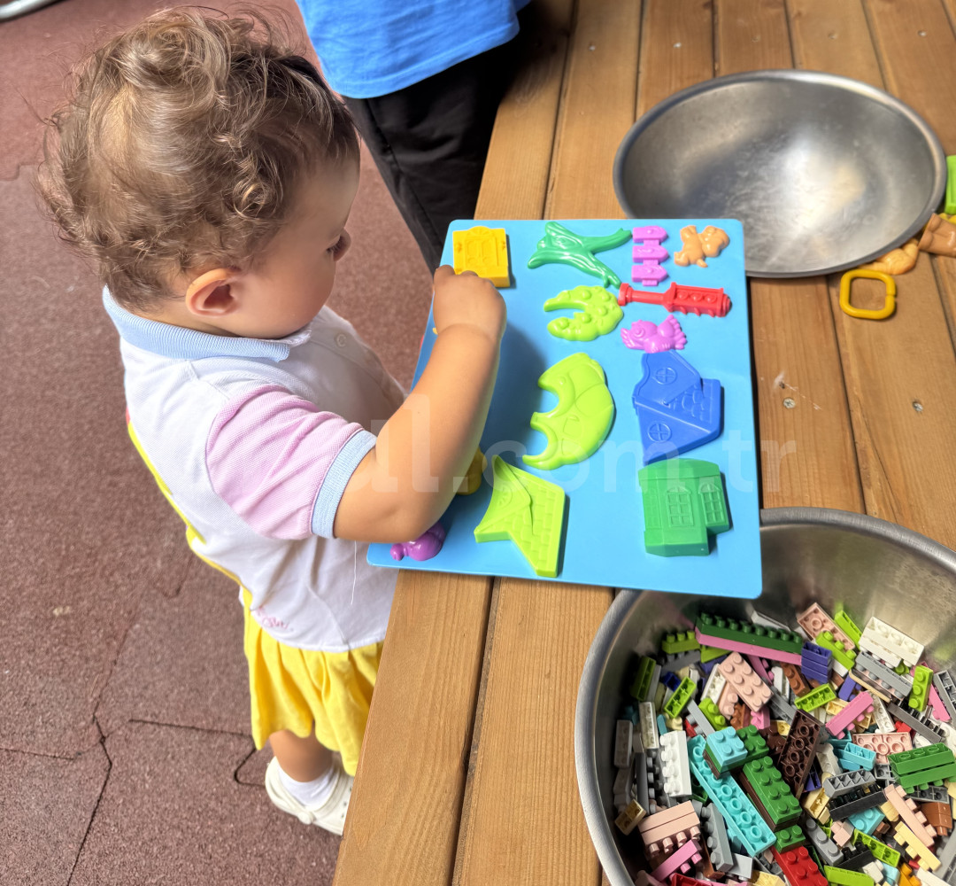 Özel Minik Fidanlar Anaokulu - 3