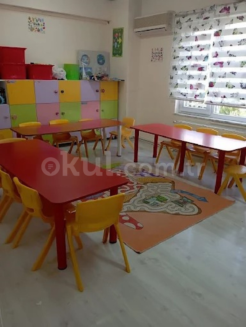 Özel Neşeli Yuvam Anaokulu - 4