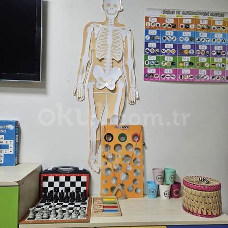 Özel Başak Çiçeği Anaokulu - 25