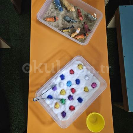 Özel Başak Çiçeği Anaokulu - 31