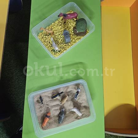 Özel Başak Çiçeği Anaokulu - 30