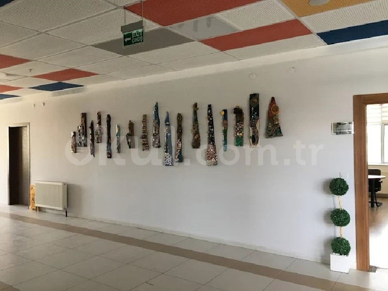 Özel Yükselen Koleji Ortaokulu - 4