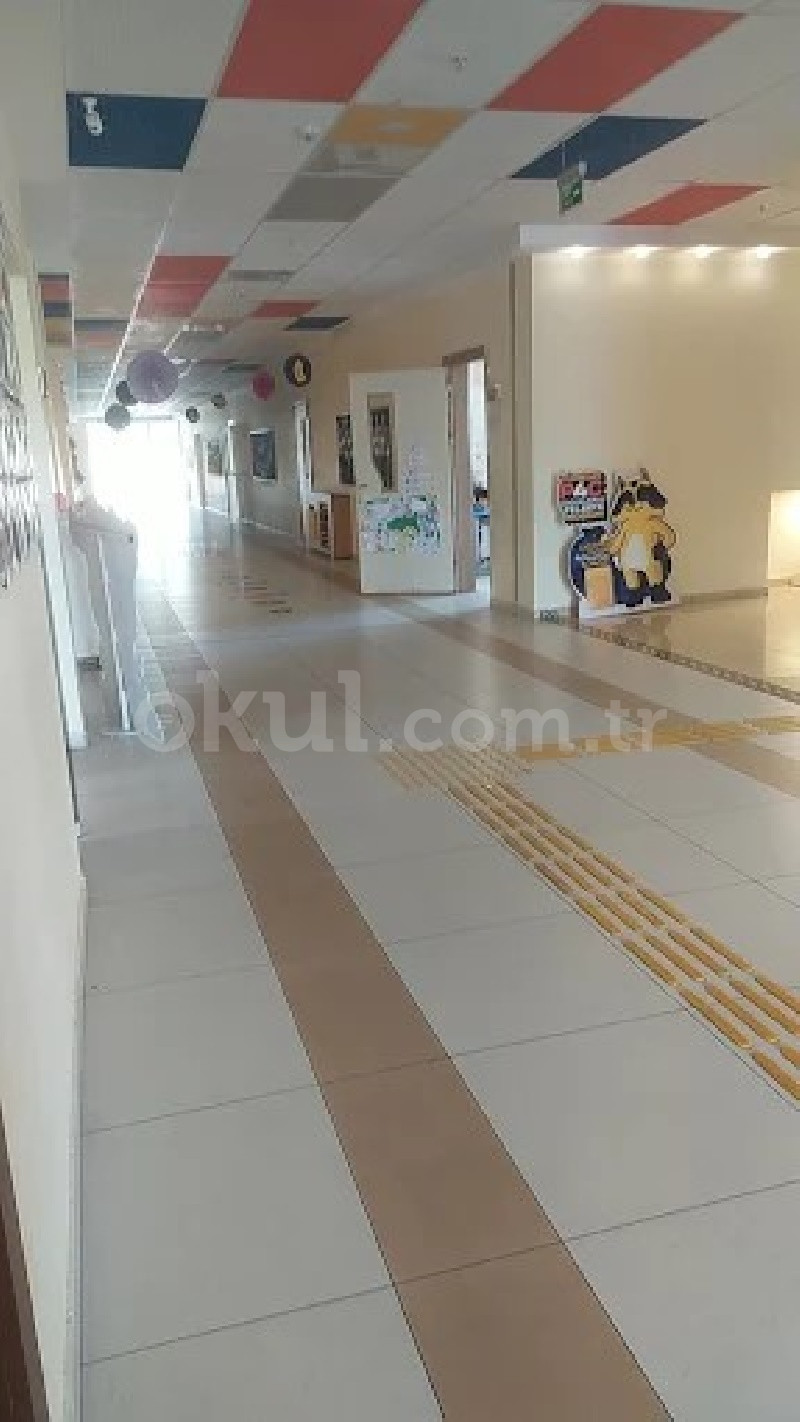 Özel Yükselen Koleji Ortaokulu - 6
