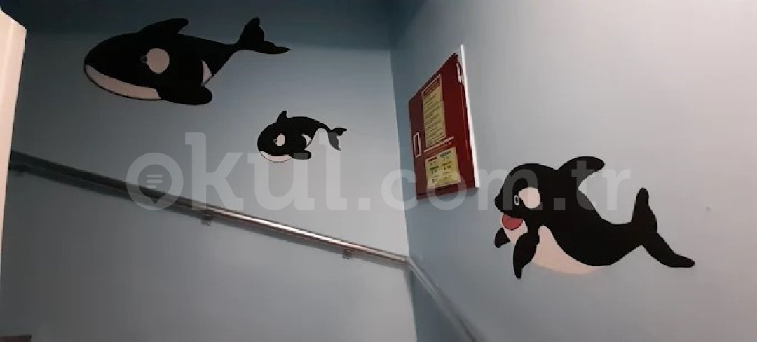 Özel Pendik İnci Taneleri Anaokulu - 18