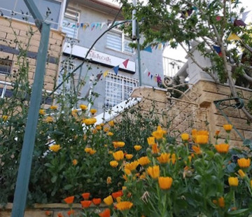 Genel Bakış