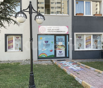 Genel Bakış