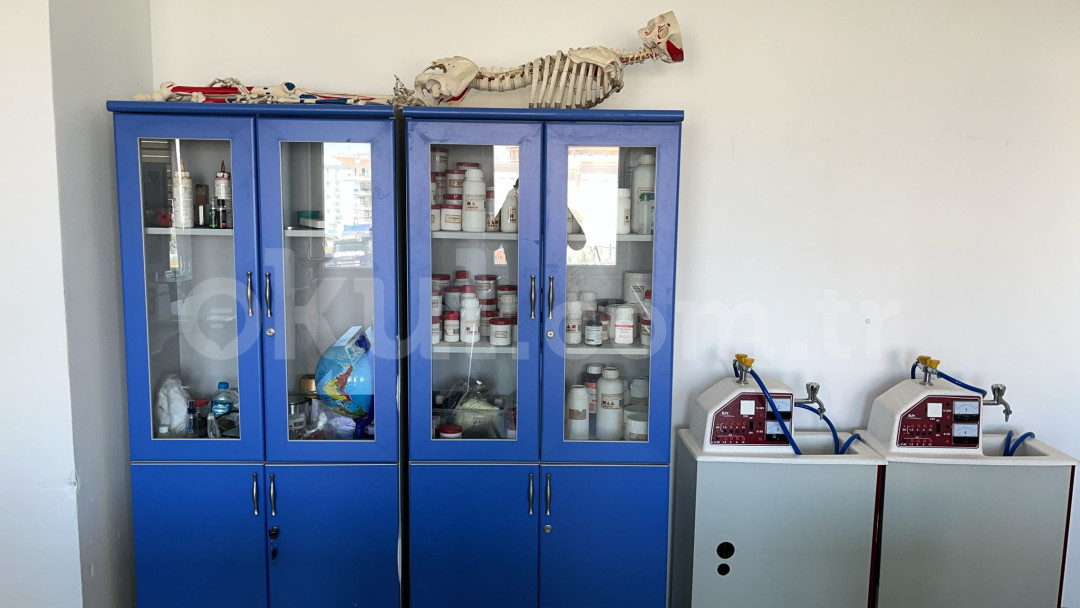 Özel Etimesgut Dünya Teknopark Ortaokulu - 30