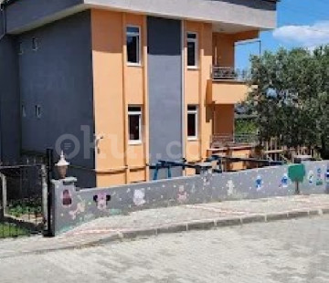 Genel Bakış