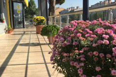  Özel Gölcük Es Koleji Ortaokulu