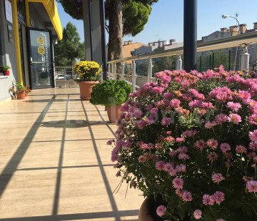 Özel Gölcük Es Koleji Ortaokulu