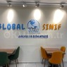 Özel Global Bilim Merkezi Anaokulu