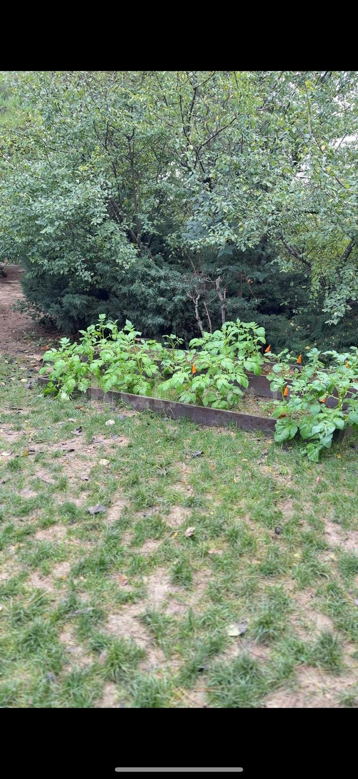 Özel Badem Şekeri Kindergarten Anaokulu - 8