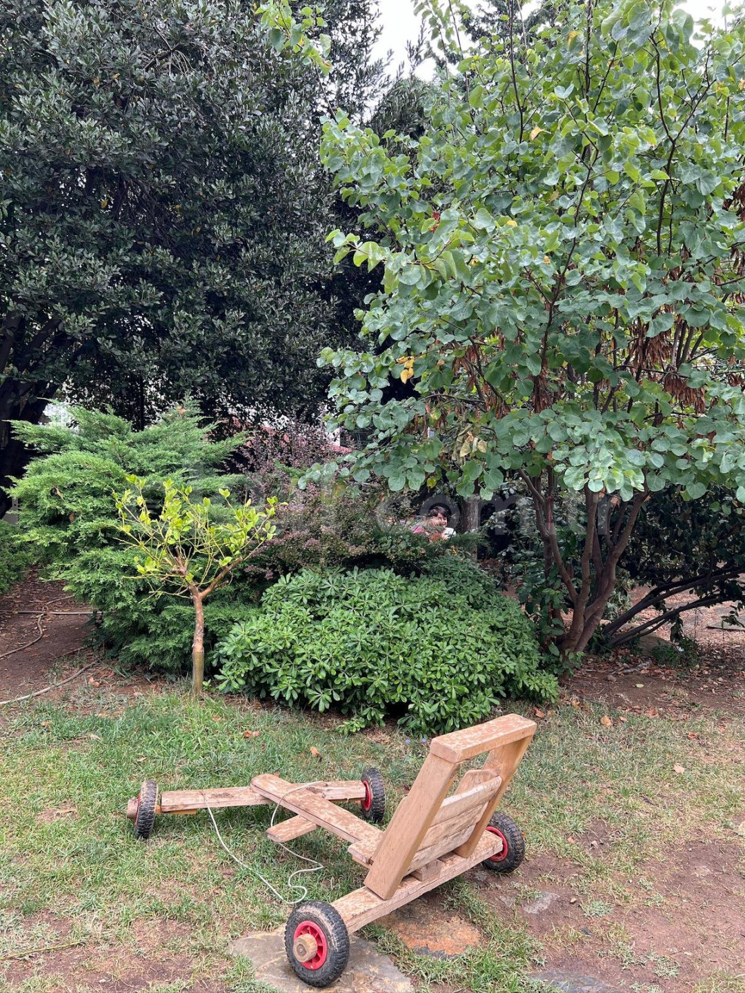 Özel Badem Şekeri Kindergarten Anaokulu - 12