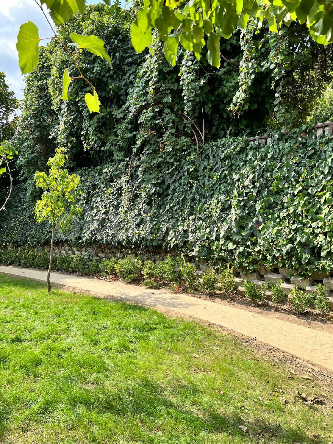 Özel Badem Şekeri Kindergarten Anaokulu - 30