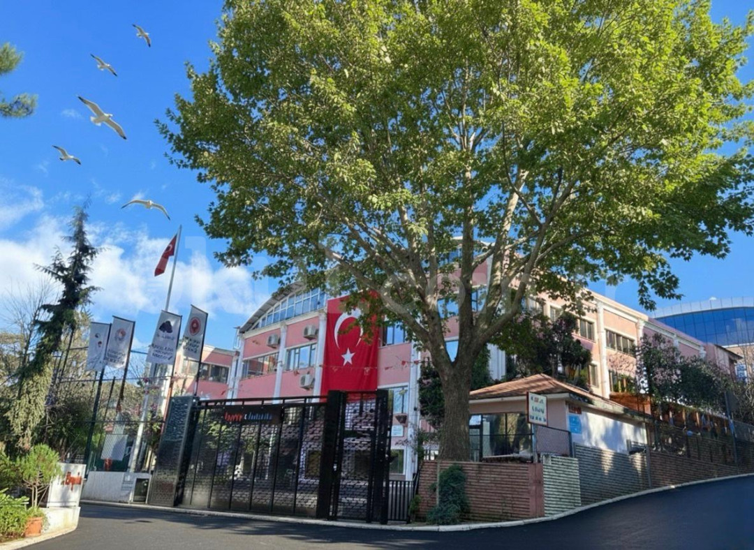 Özel Pendik Balkanlar Koleji Anaokulu - 1