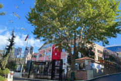 Özel Pendik Balkanlar Koleji Anaokulu