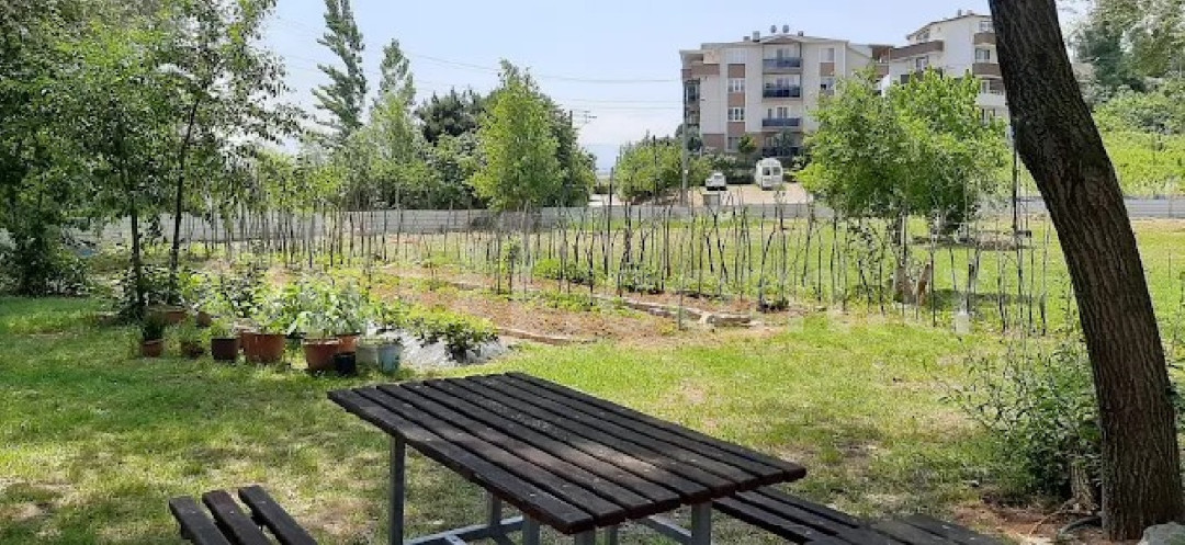 Özel İzmit Beyaz Zambak Kreş ve Gündüz Bakımevi - 16
