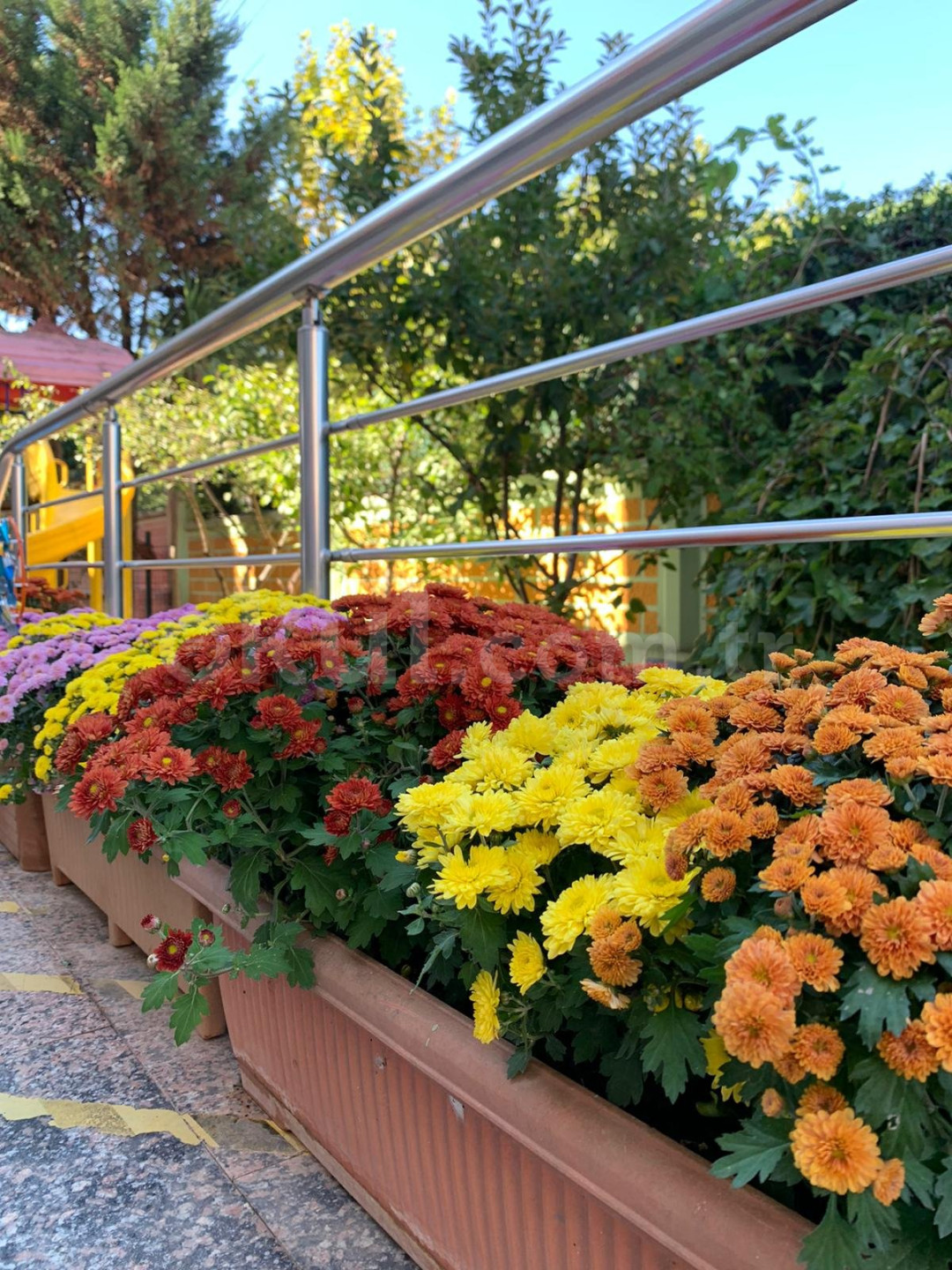 Özel İzmit Beyaz Zambak Kreş ve Gündüz Bakımevi - 3