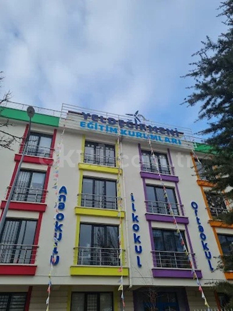 Genel Bakış