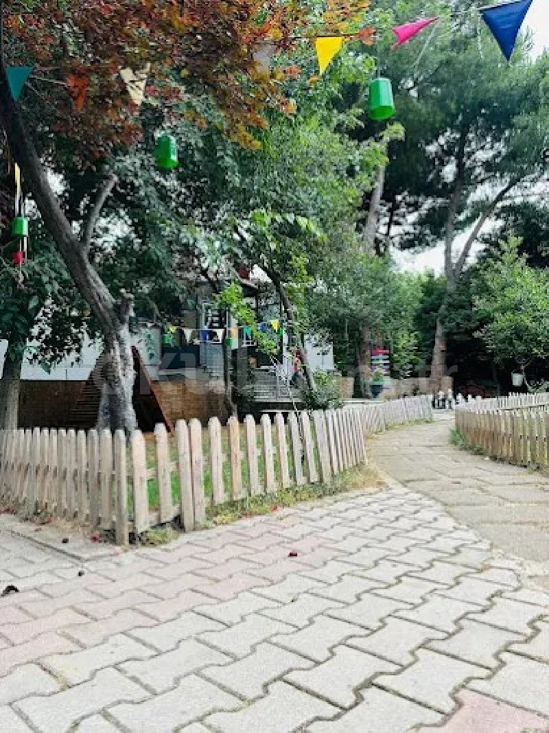 Özel Pendik Koza Gelişim Akademisi Anaokulu - 4