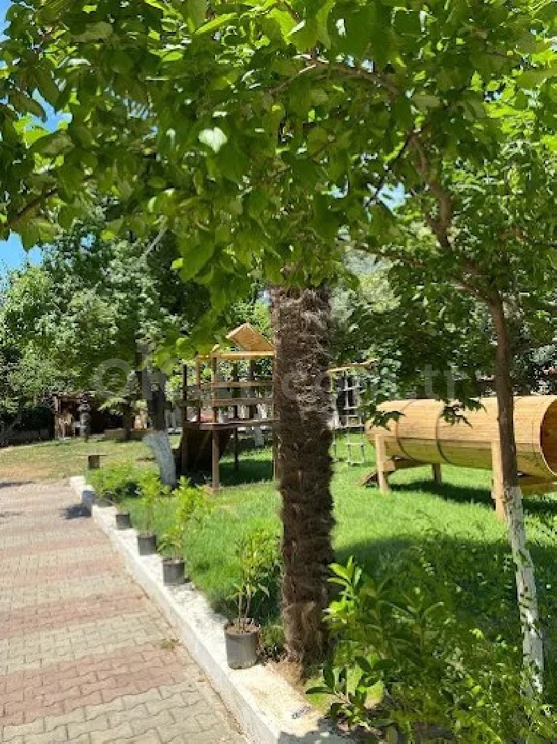 Özel Pendik Koza Gelişim Akademisi Anaokulu - 5