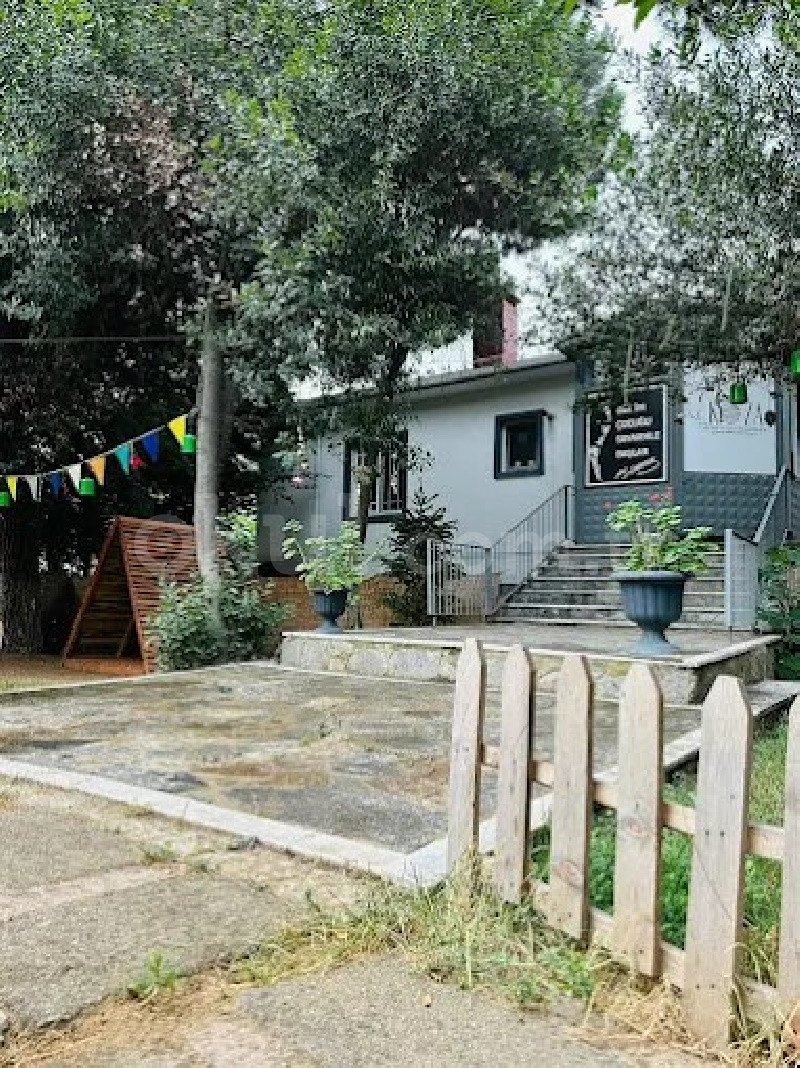 Özel Pendik Koza Gelişim Akademisi Anaokulu - 3