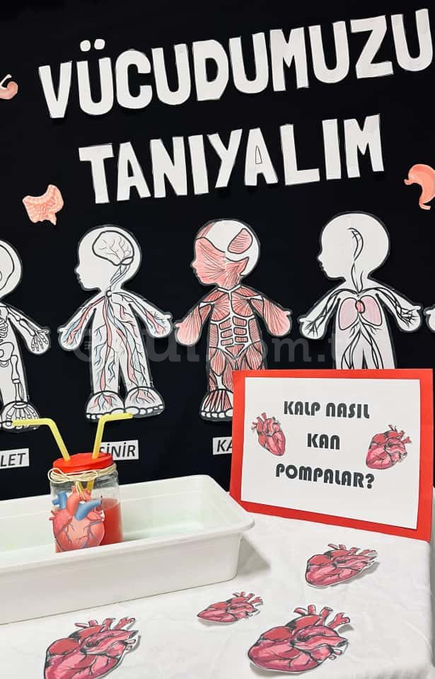 Özel Nilüfer Dora Anaokulu - 10