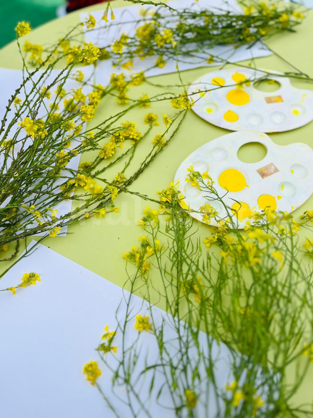 Özel Nilüfer Dora Anaokulu - 11