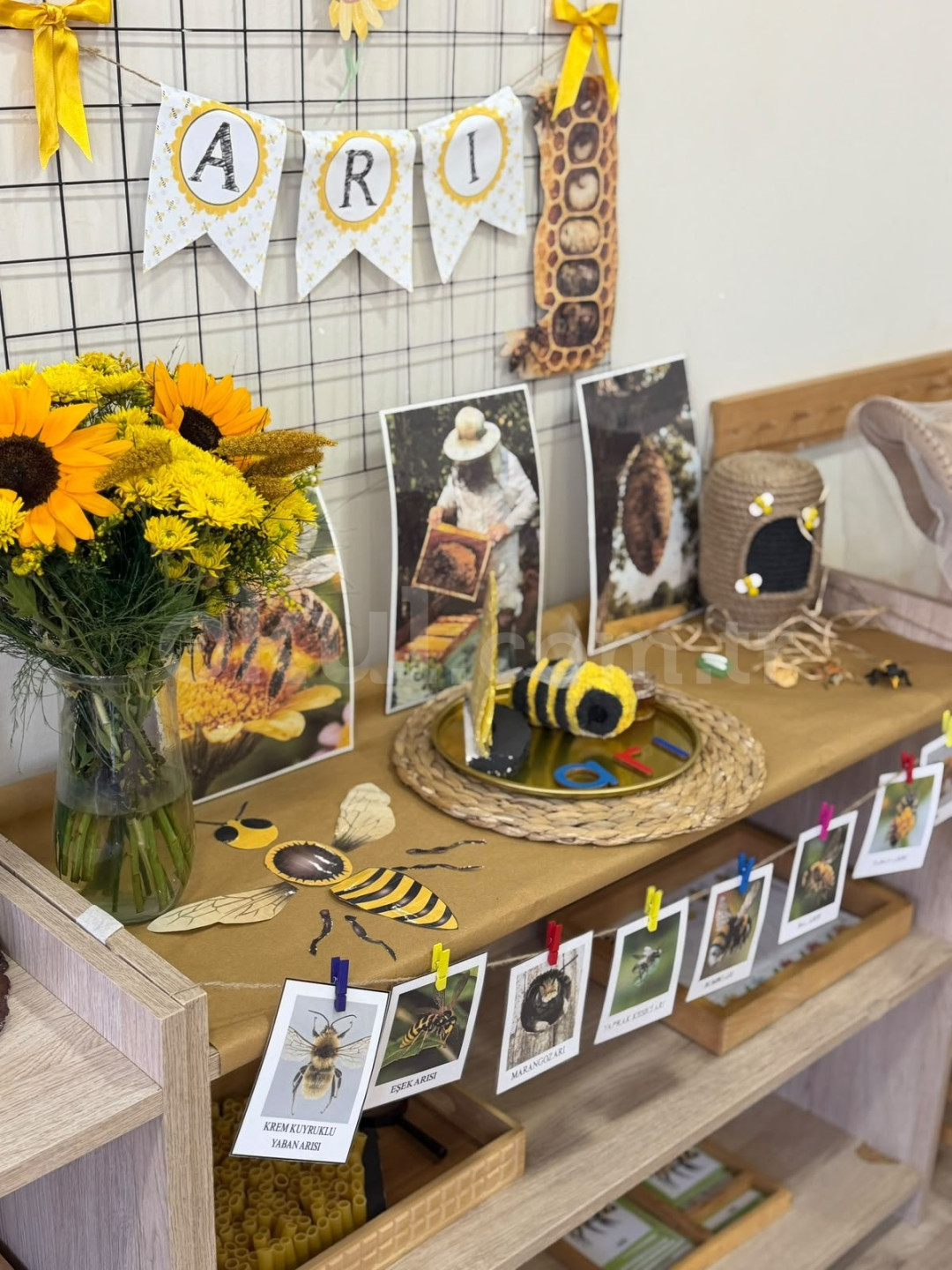 Özel MES Montessori Anaokulu - 21