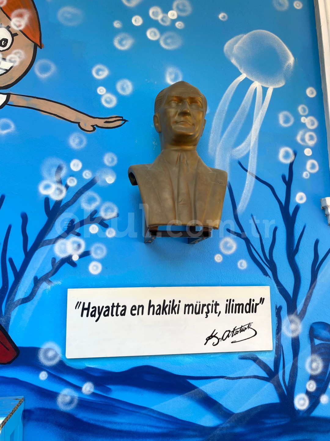 Özel Özgür Yunuslar Anaokulu - 42