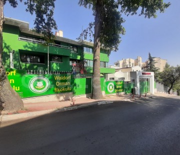 Genel Bakış