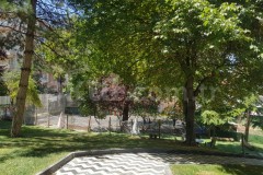 Özel Waldorf Orman Okulları İlkokulu