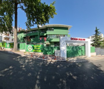 Genel Bakış