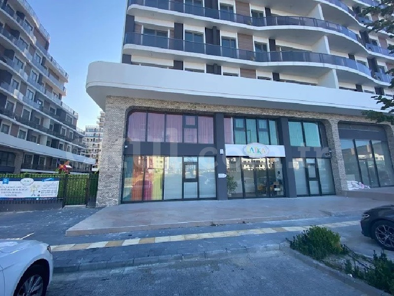 Özel Beylikdüzü American International Kids Academy (AIKA) Anaokulu - 2