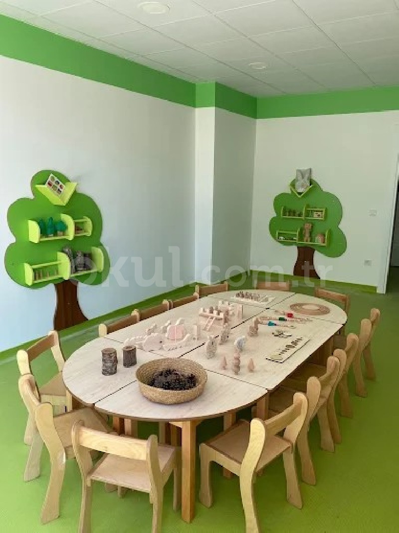 Özel Beylikdüzü American International Kids Academy (AIKA) Anaokulu - 4