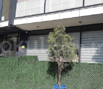Genel Bakış