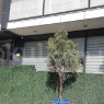 Özel Gülçeşme Anaokulu