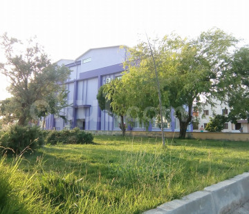 Genel Bakış