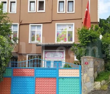 Genel Bakış