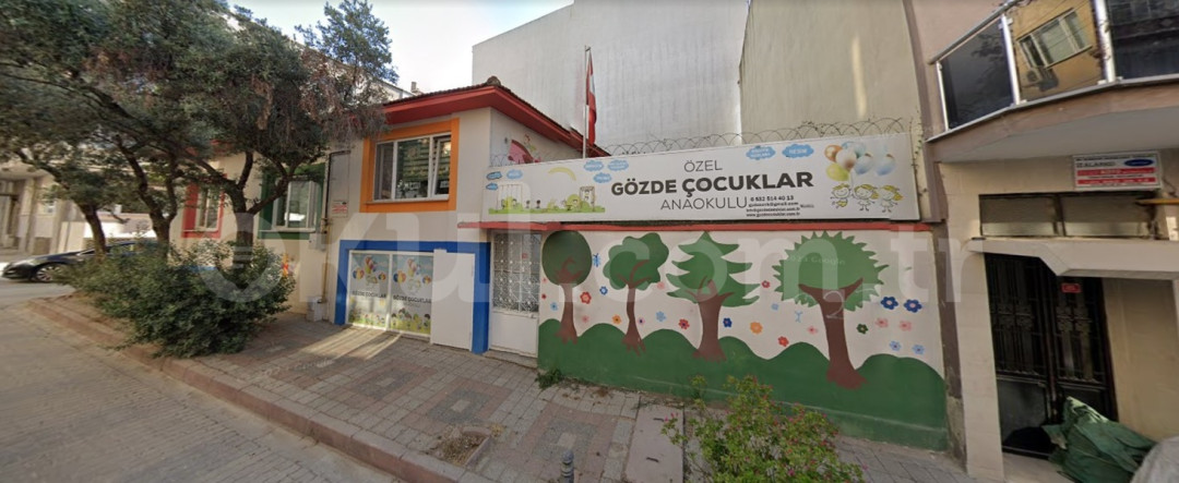 Genel Bakış