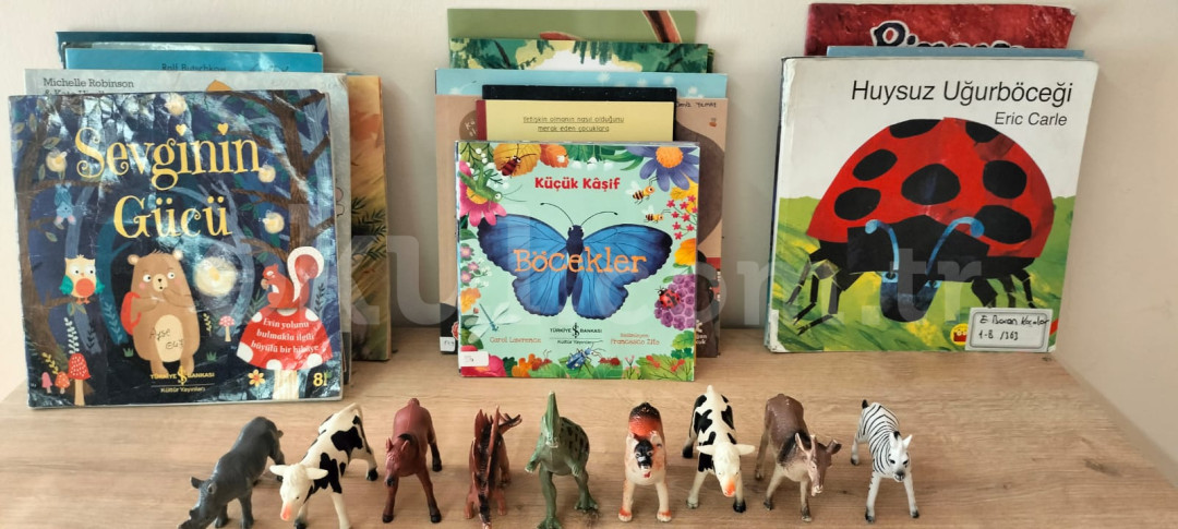 Özel Ataşehir Düşünür Koleji Anaokulu - 25